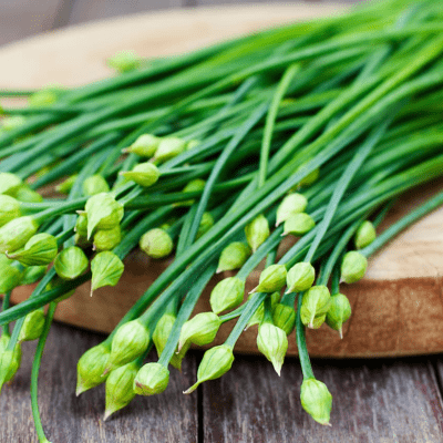 Chives - Garlic Chives