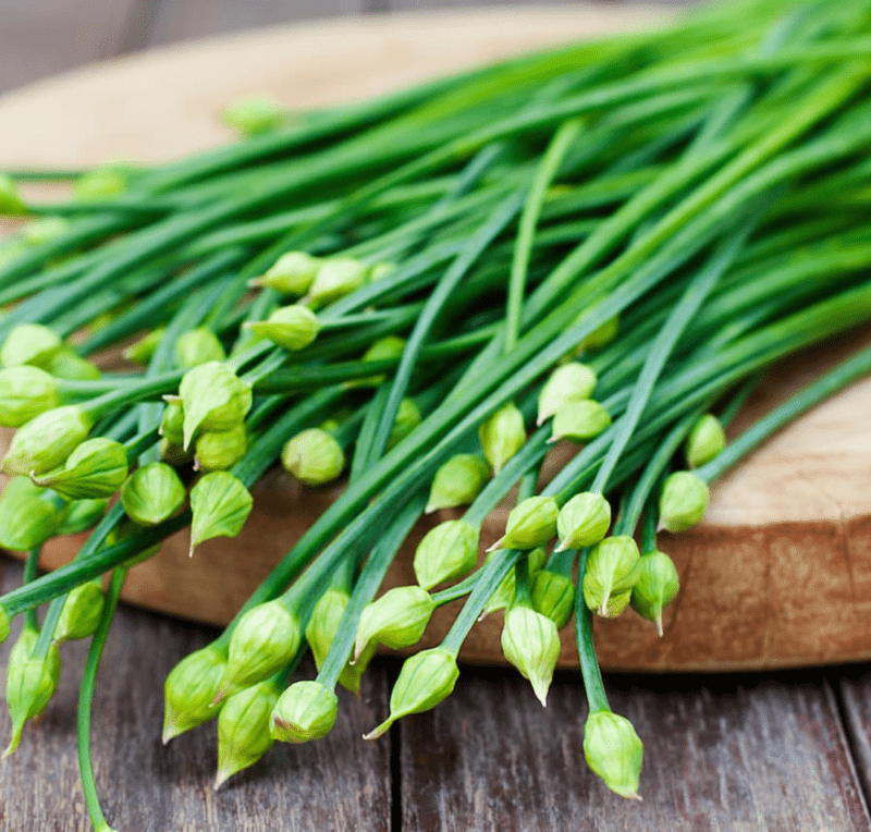 Chives - Garlic Chives