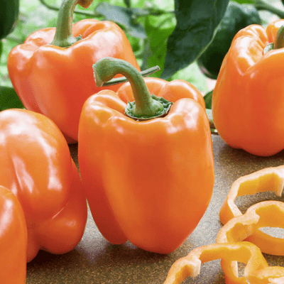 Sweet Pepper "California Miracle Orange" seeds
