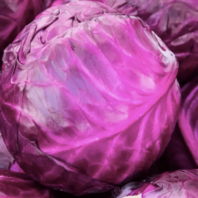 Red Cabbage seeds