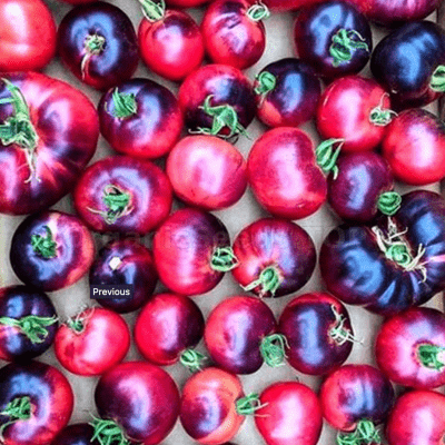 Tomato Amethyst Jewel seeds