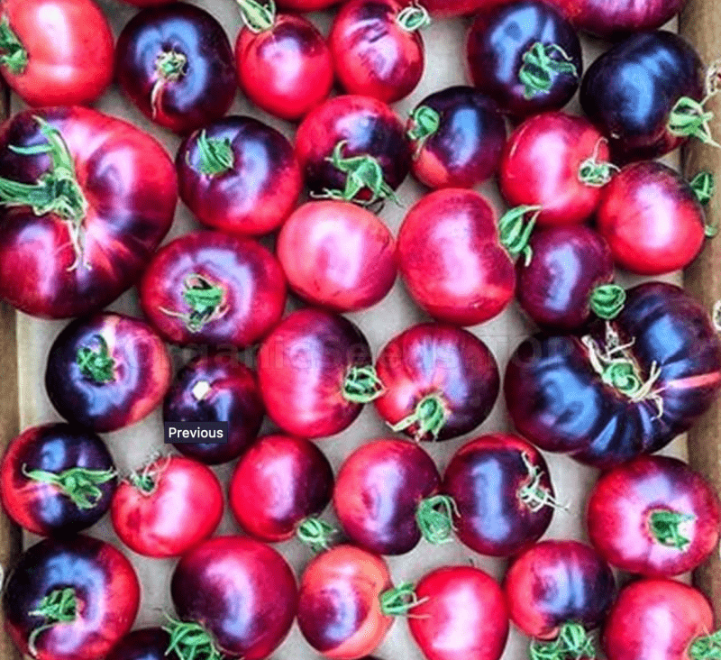 Tomato Amethyst Jewel seeds
